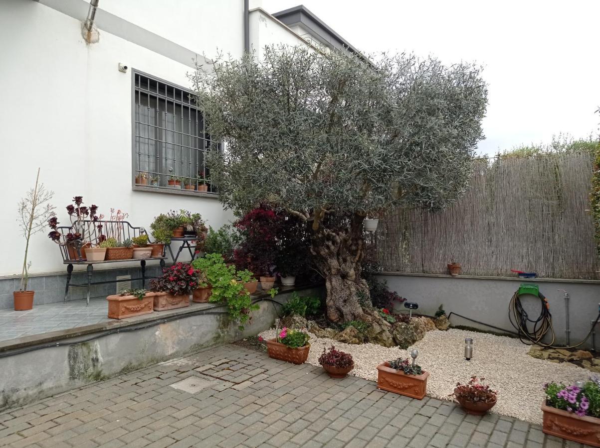 Villa Sogno Castel Fusano Eksteriør bilde